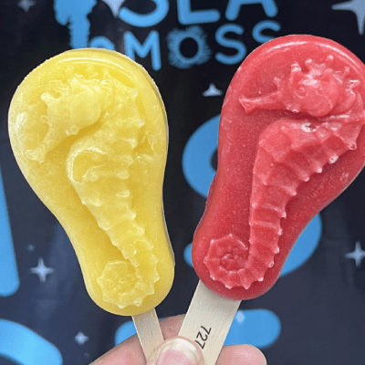 SEA MOSS POPSICLES 