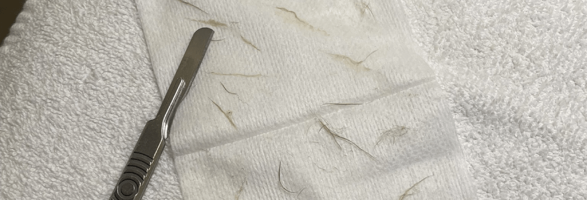 Aesthetic Justice by Chrissy Taylor