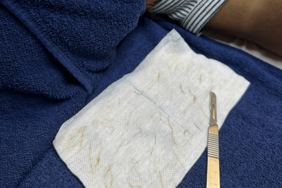 Aesthetic Justice by Chrissy Taylor