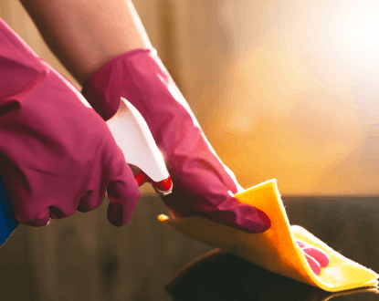 HOUSE CLEANER SERVICES