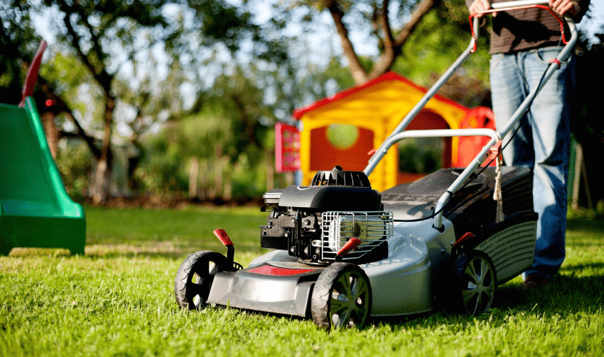 Freedom Lawncare And Tree Services