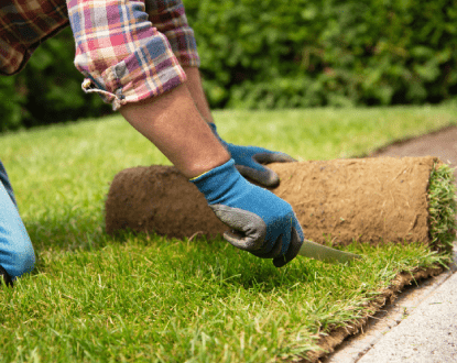 SOD INSTALLATION
