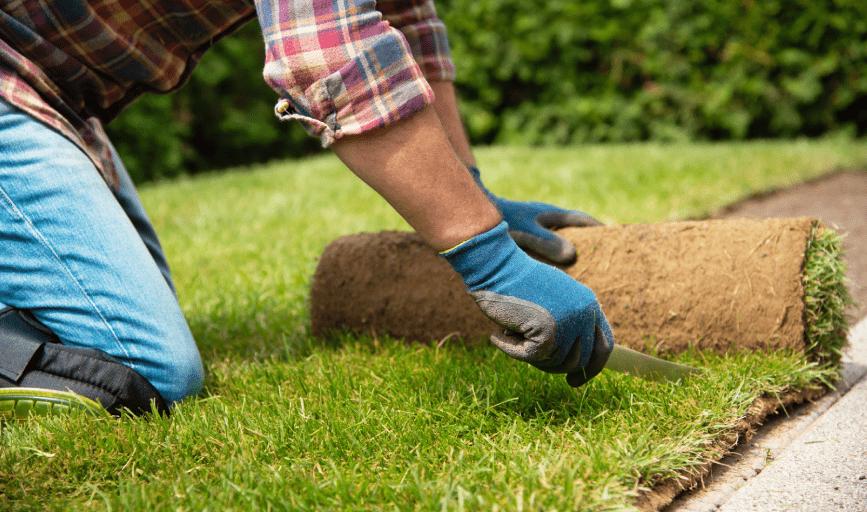 Freedom Lawncare And Tree Services