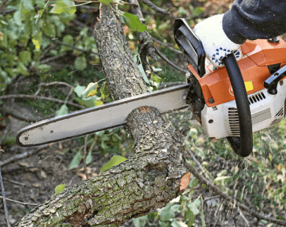 TREE TRIMMING