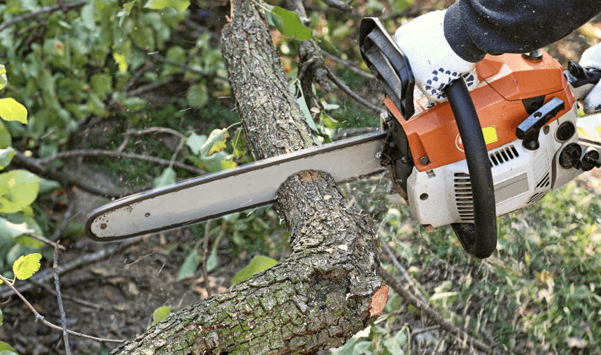 Freedom Lawncare And Tree Services