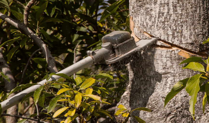 Freedom Lawncare And Tree Services
