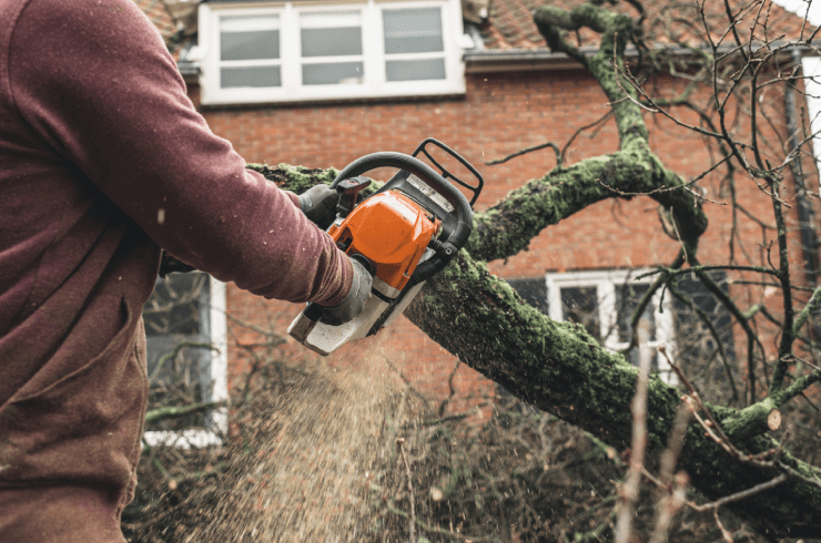 Freedom Lawncare And Tree Services