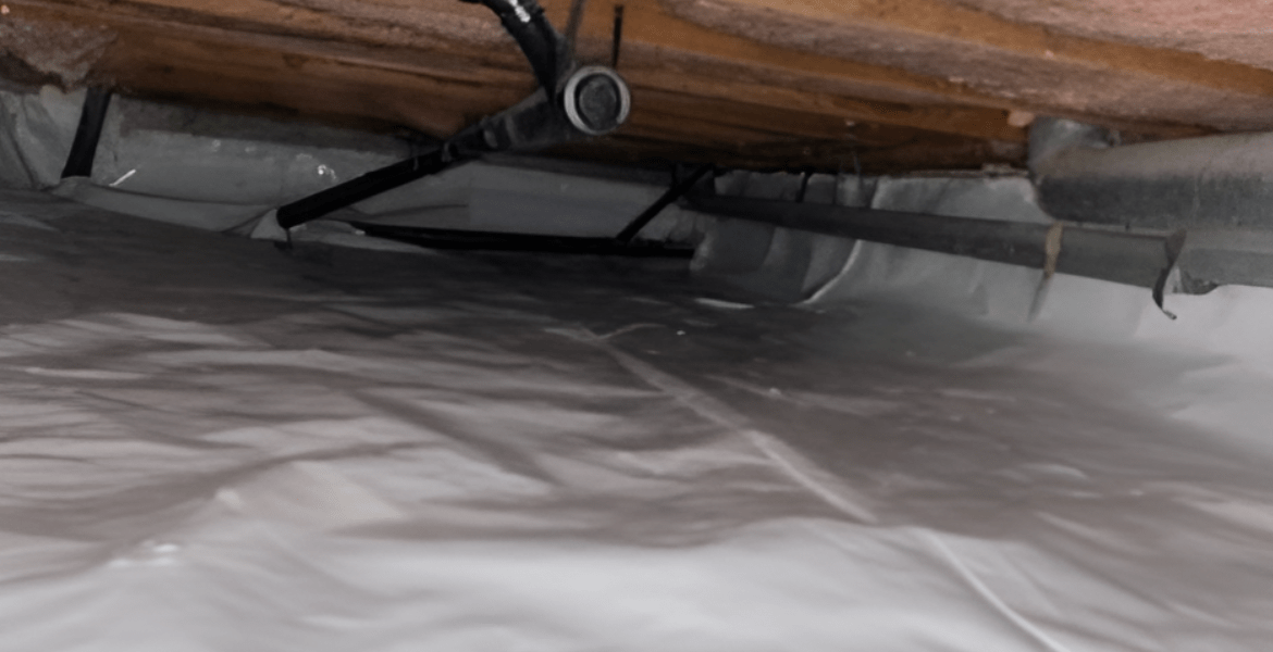 Eco Insulation Company