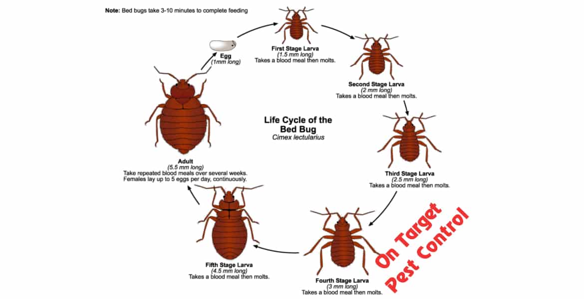 On Target Pest Control