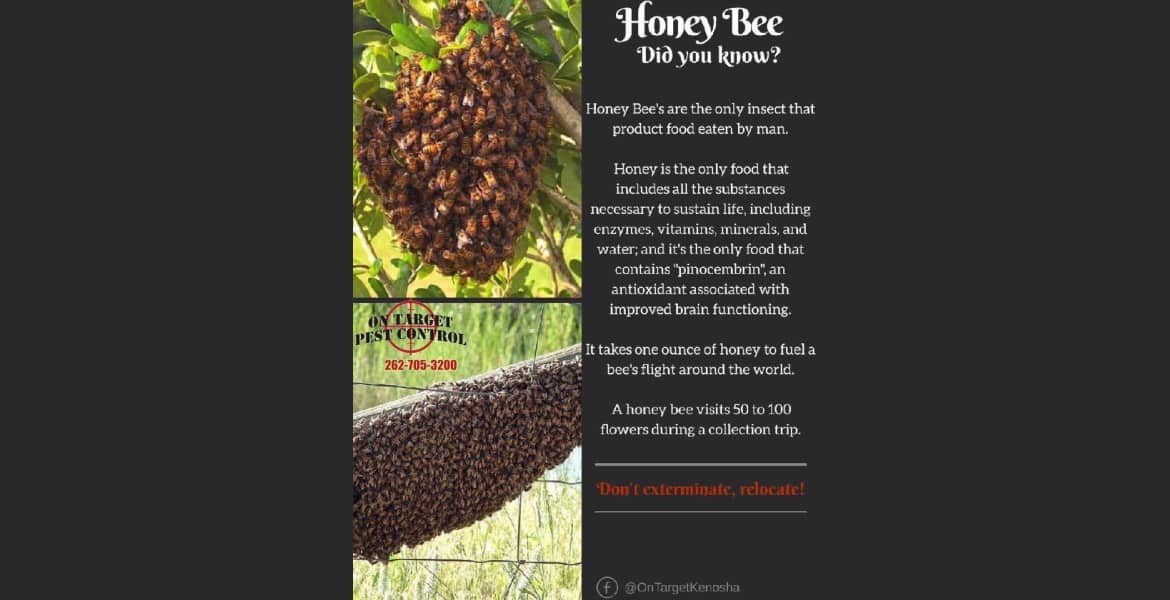 On Target Pest Control