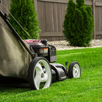 LAWN CARE SERVICES