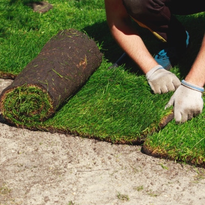 SOD INSTALLATION
