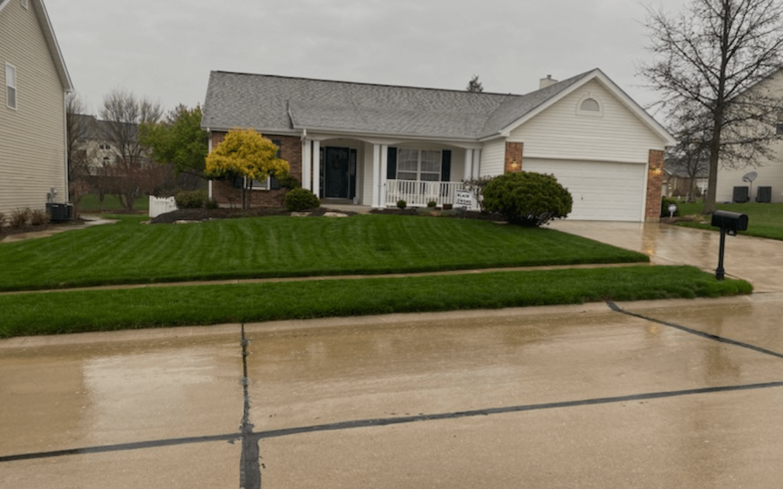 Organic Lawn Treatment