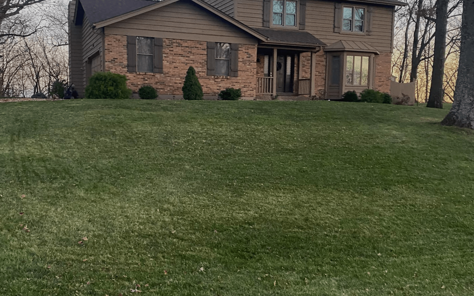 Leaf Removal