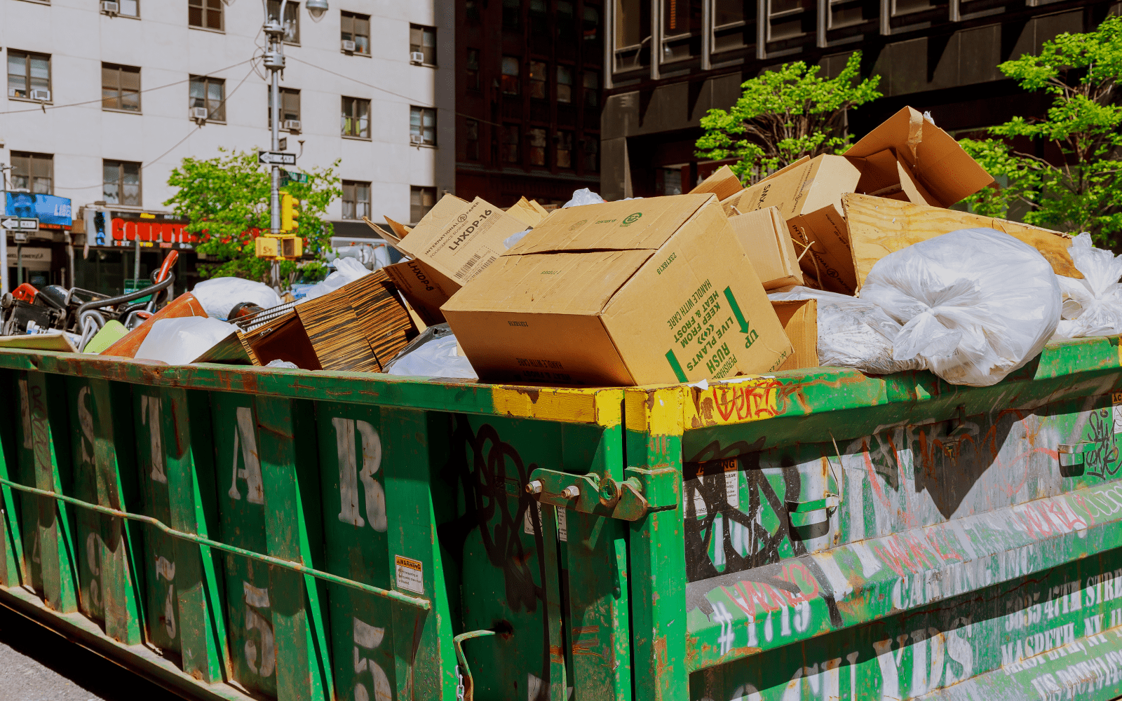 Junk Removal