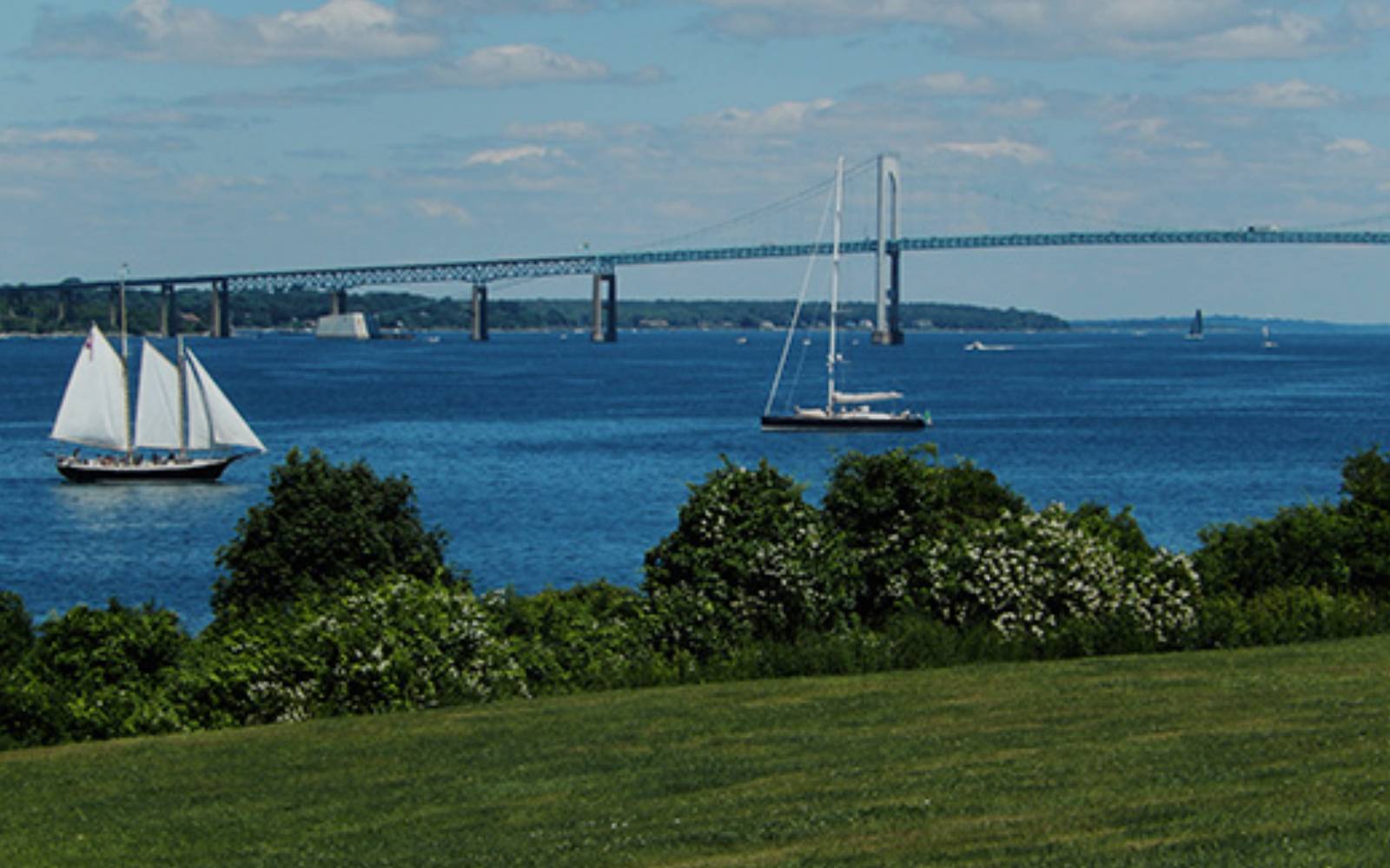 Primary Banner
