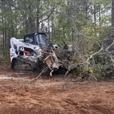 LAND CLEARING