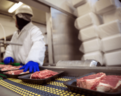 FOOD SAFETY SERVICES