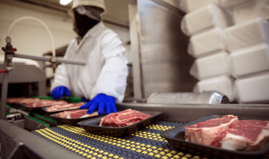 NTX Sanitation Services