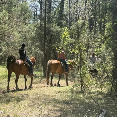 TRAIL RIDE
