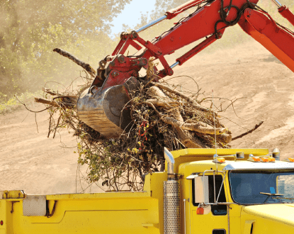 LAND CLEARING SERVICES
