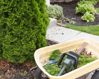 LAWN MAINTENANCE SERVICE