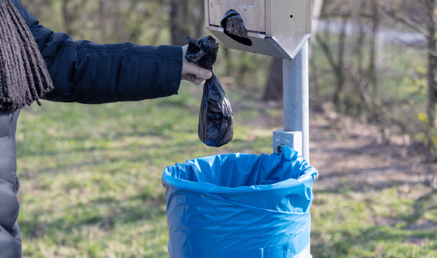 K9 Waste Removal Services