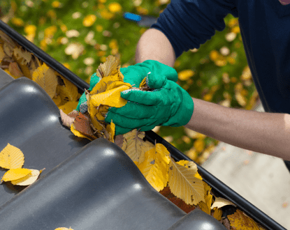 GUTTER CLEANING SERVICE