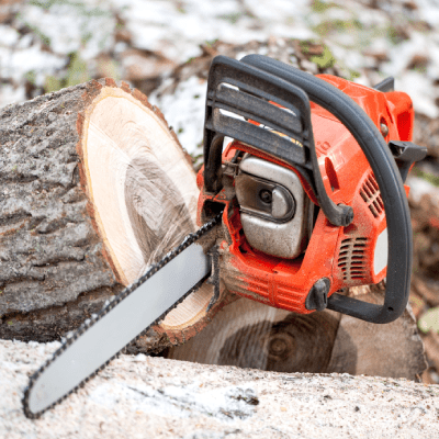 TREE REMOVAL
