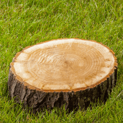 STUMP GRINDING