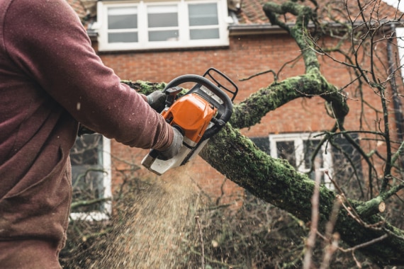 Cazcam Landscaping Service