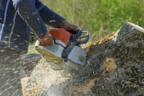 Cazcam Landscaping Service