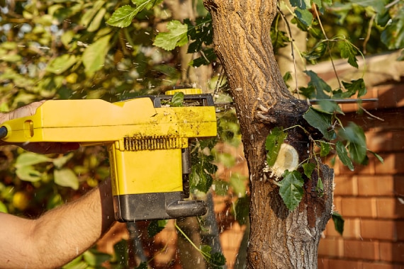 Cazcam Landscaping Service