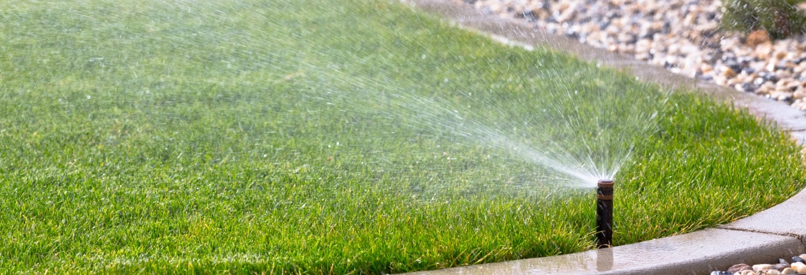 Cazcam Landscaping Service