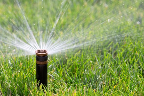 Cazcam Landscaping Service