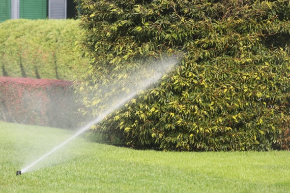 Cazcam Landscaping Service