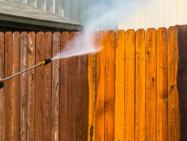 Fence Cleaning