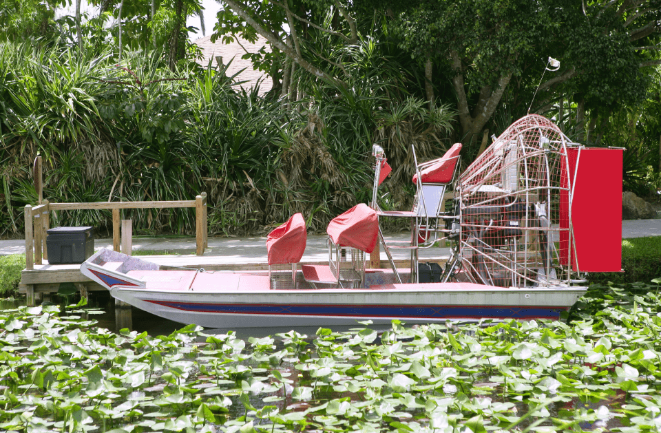 Dolphin Airboat Tours