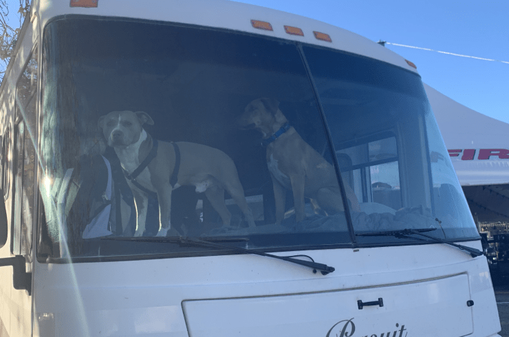 Stars and Stripes Windshield Repair