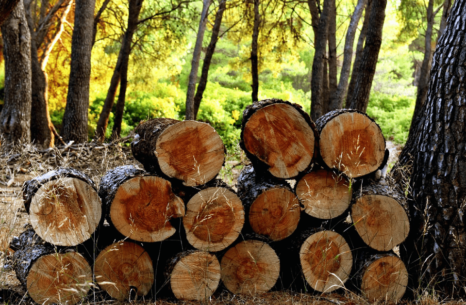 Anderson Bros Logging