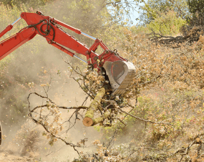 FOREST CLEARING SERVICES