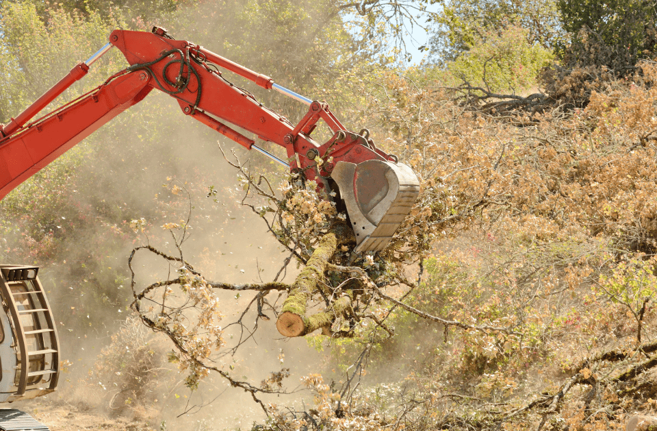 Anderson Bros Logging