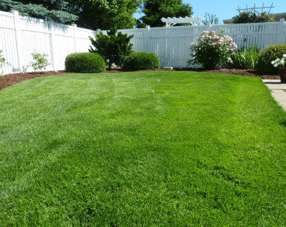 LAWN CARE SERVICES