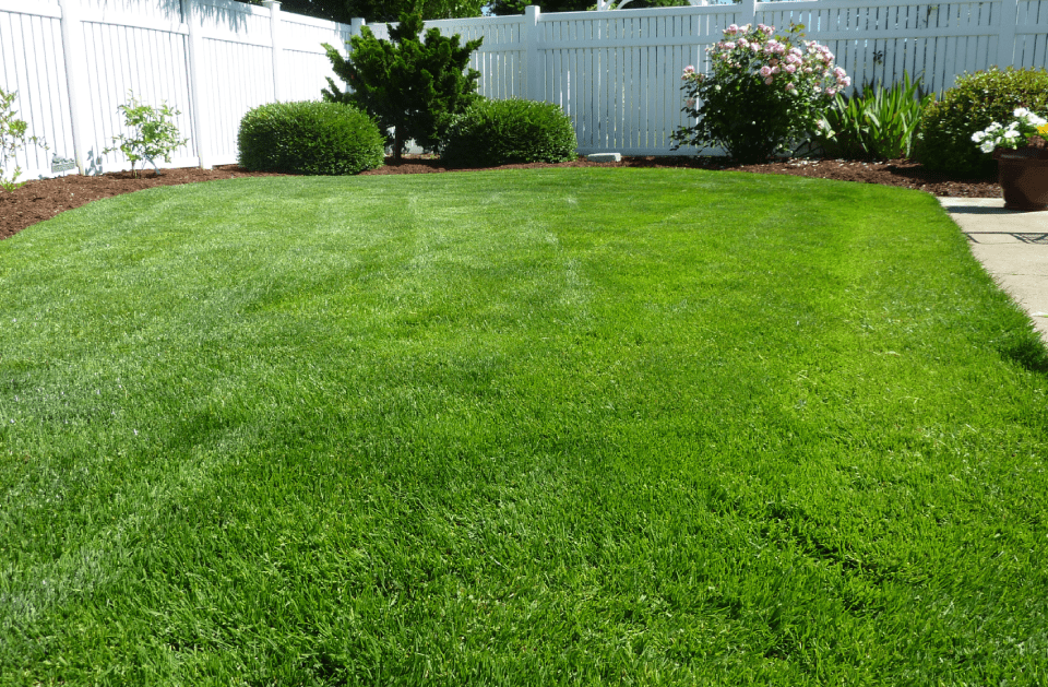 Cousins Construction and Landscape