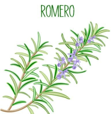 Romero Lawncare & Landscaping