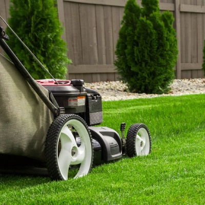 LAWN CARE SERVICES