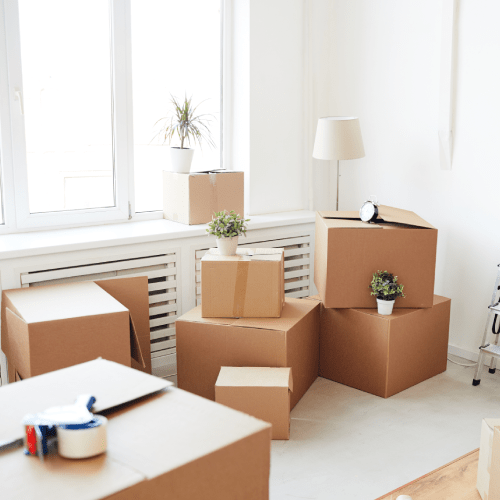 Move-Out Cleaning Service