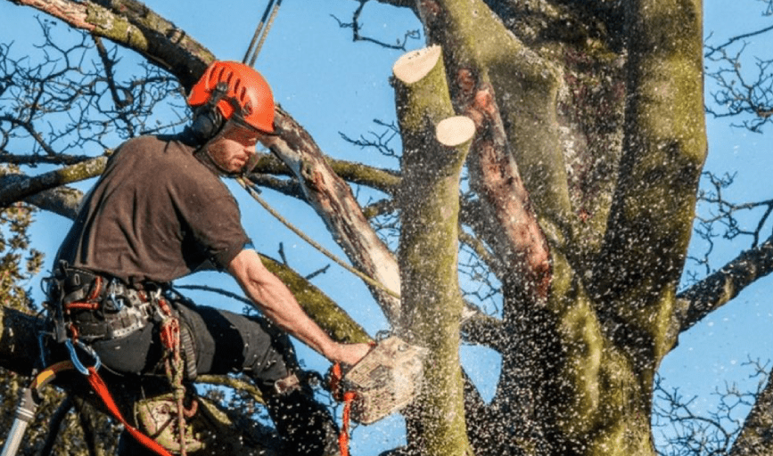 Pronto Home Solutions