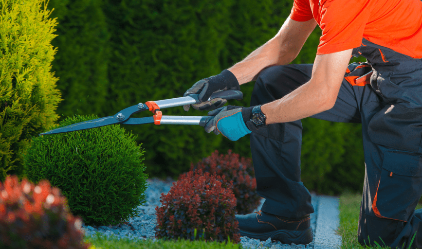 Porterville Lawn Care