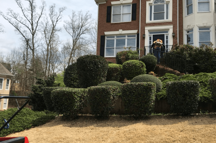 LawnTech Landscaping